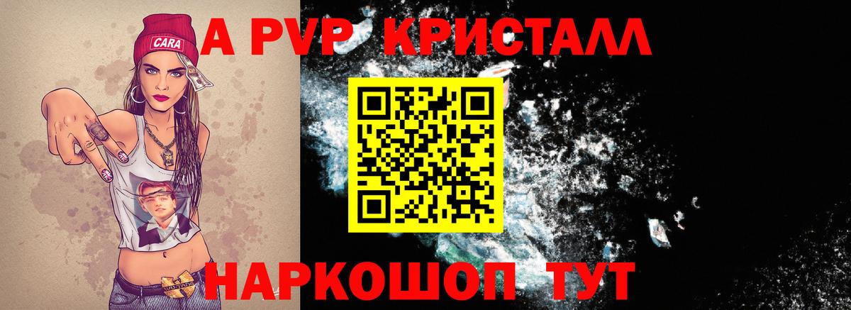 A PVP СК КРИС Гурьевск