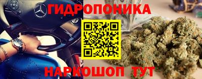 прущие грибы Лесосибирск