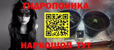 ECSTASY Кулебаки