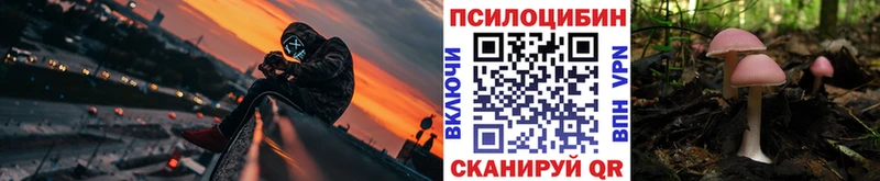 Галлюциногенные грибы Cubensis  магазин    Гурьевск 