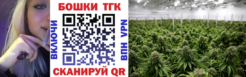 Конопля гибрид  Гурьевск 